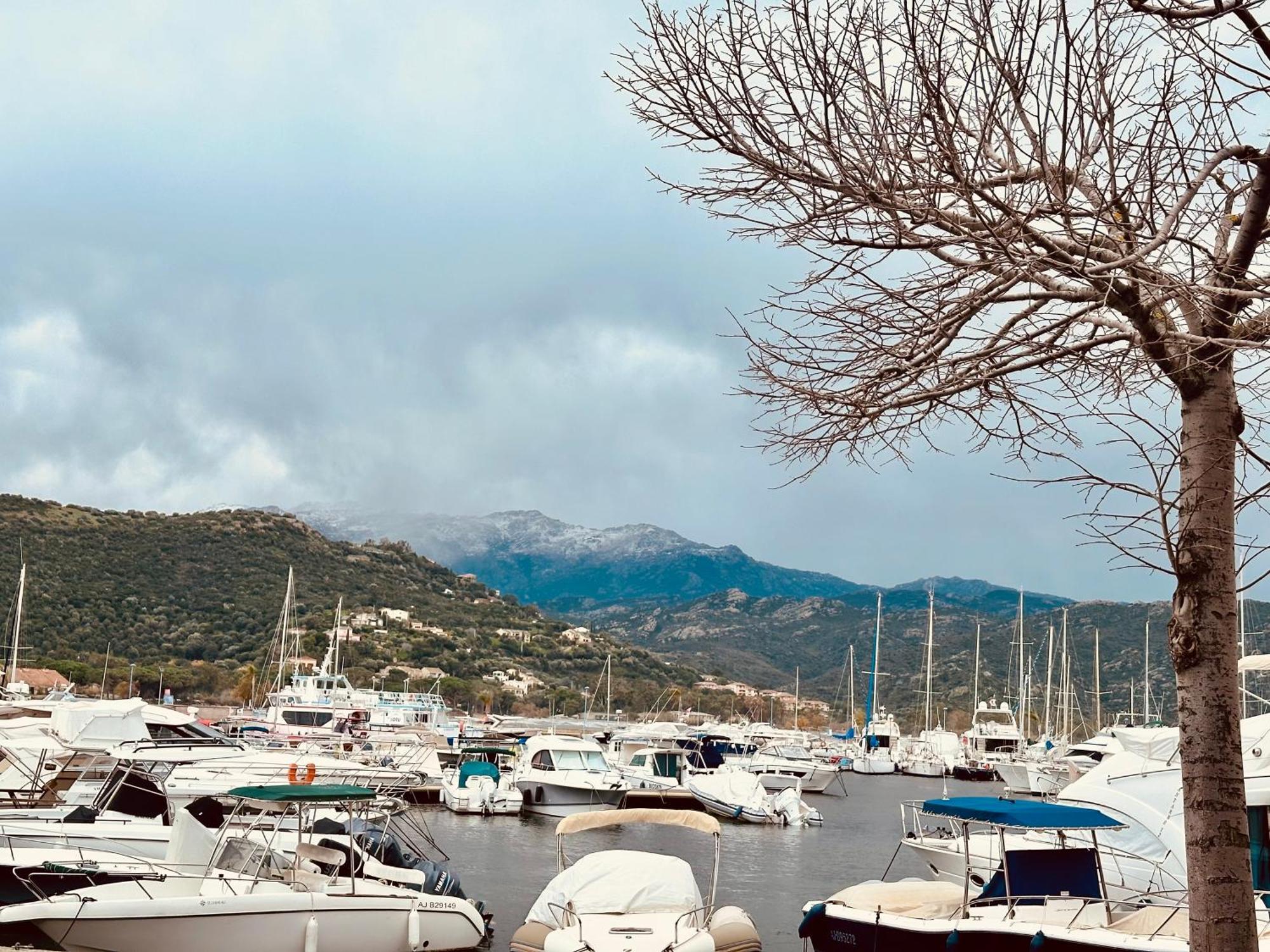 Hotel Restaurant L'Europe Saint-Florent  Ngoại thất bức ảnh